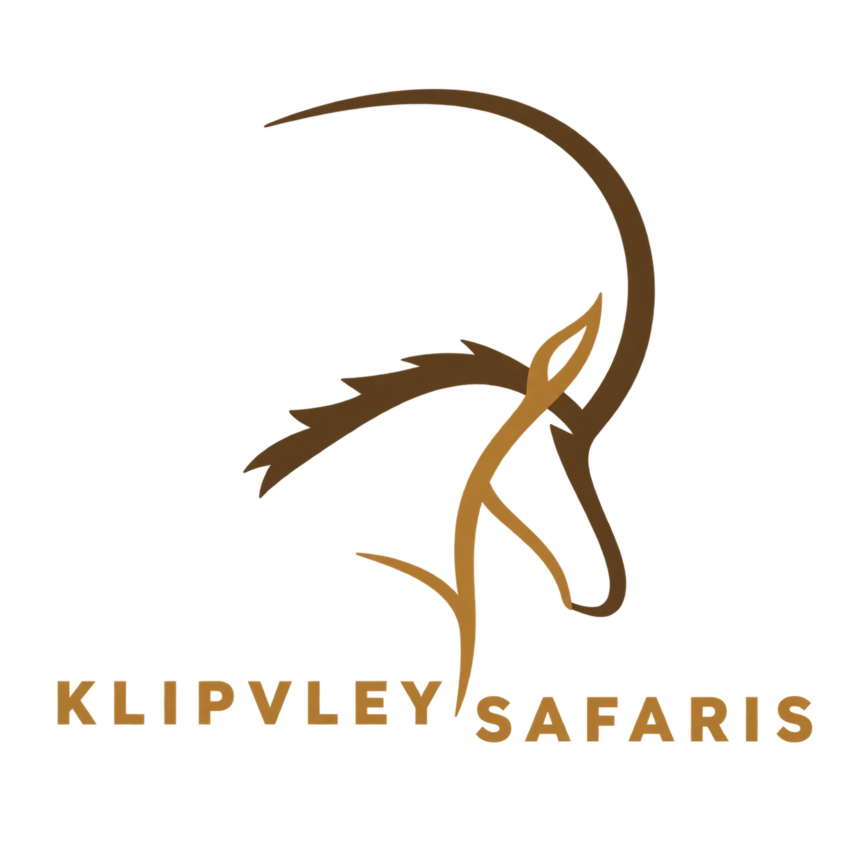 Klipvley Safaris